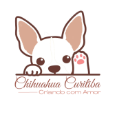 Chihuahua Curitiba - Criando com Amor 